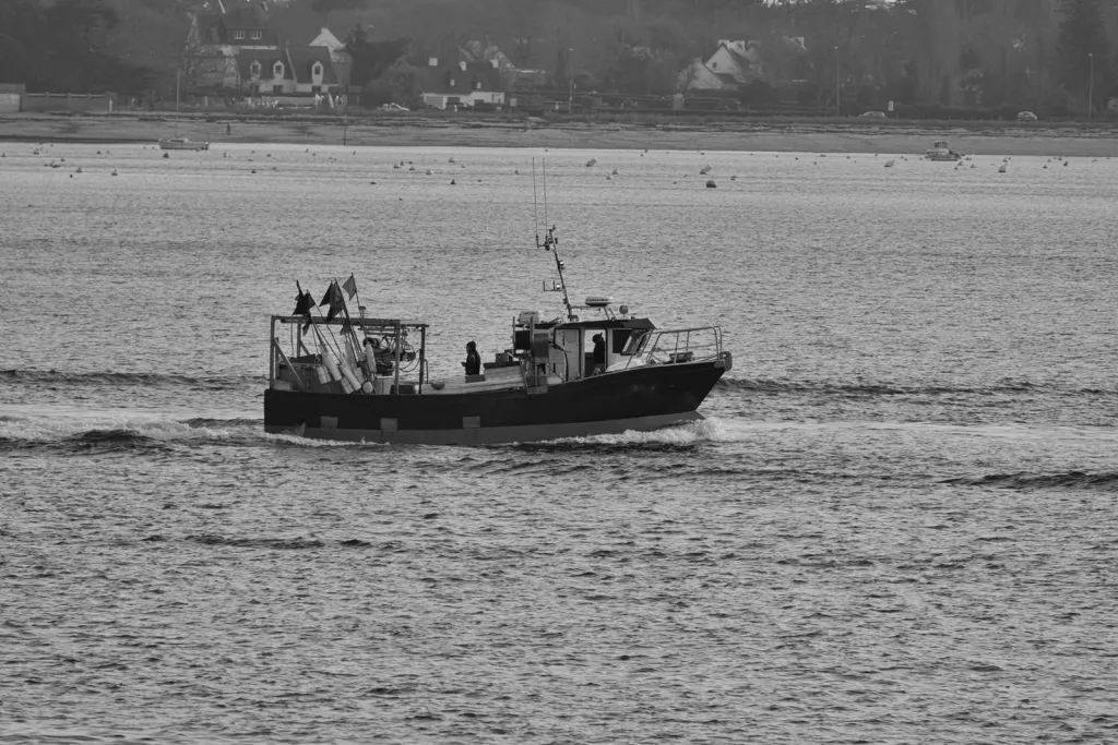 Make Your Next Day on the Water Count